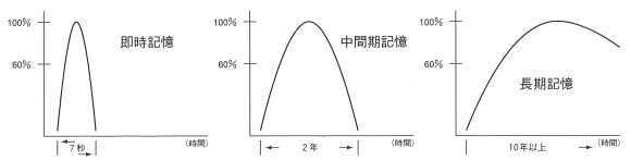 記憶種類図