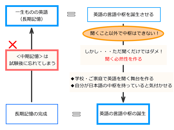 言語中枢形成図